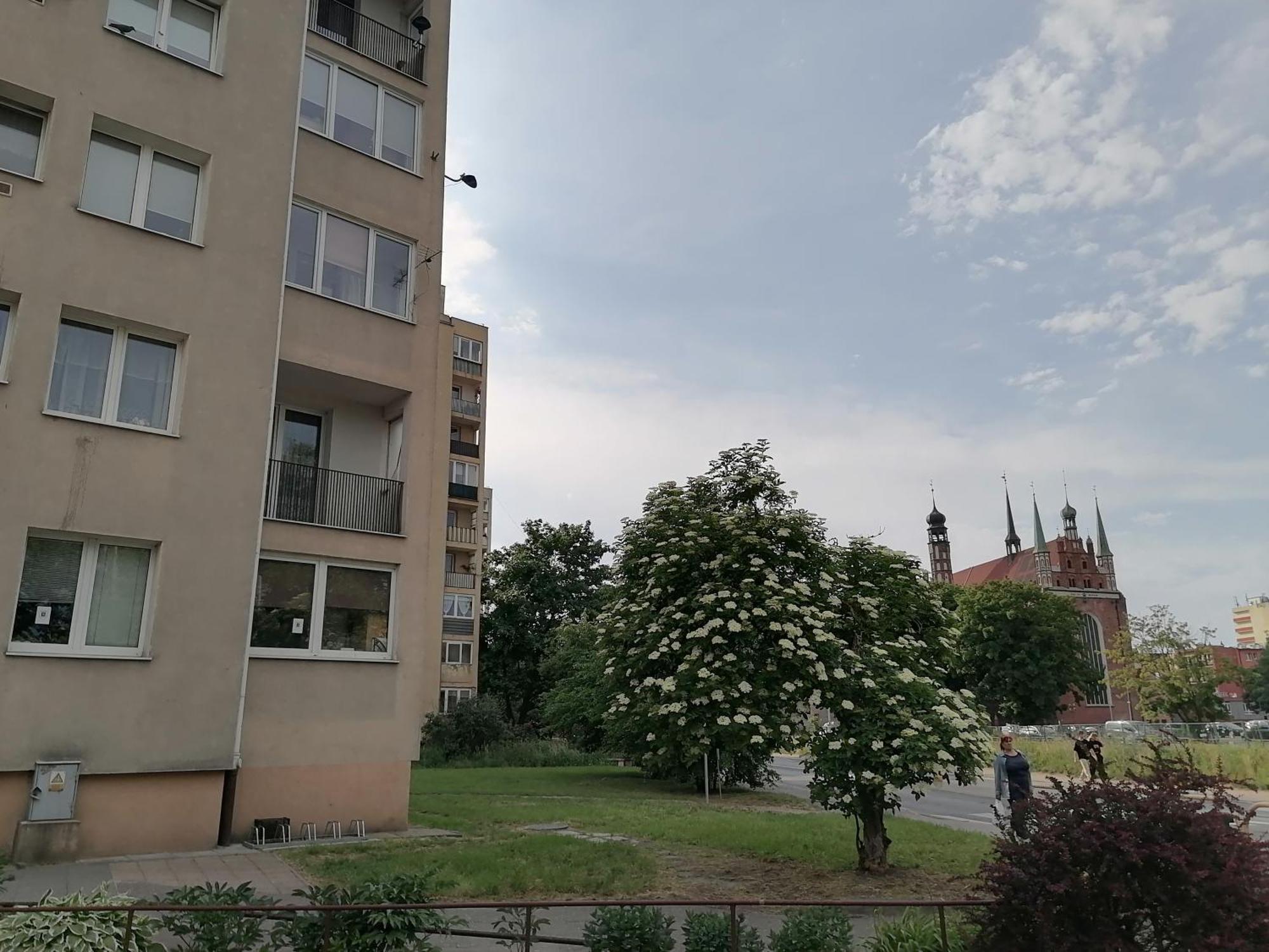 Leilighet Torunska